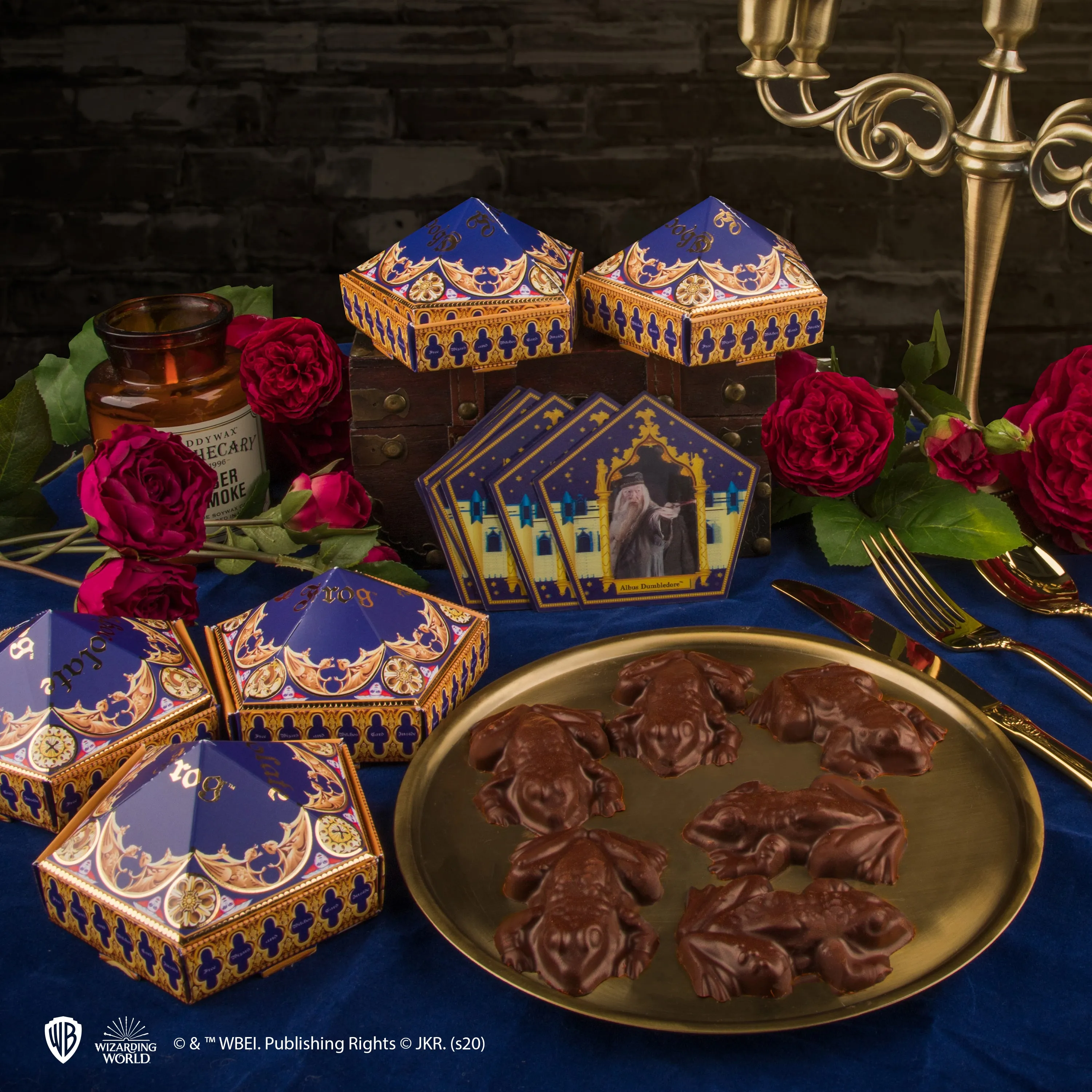 Chocolate Frog Mold   12 Wizard Cards   6 DIY boxes (New Edition)