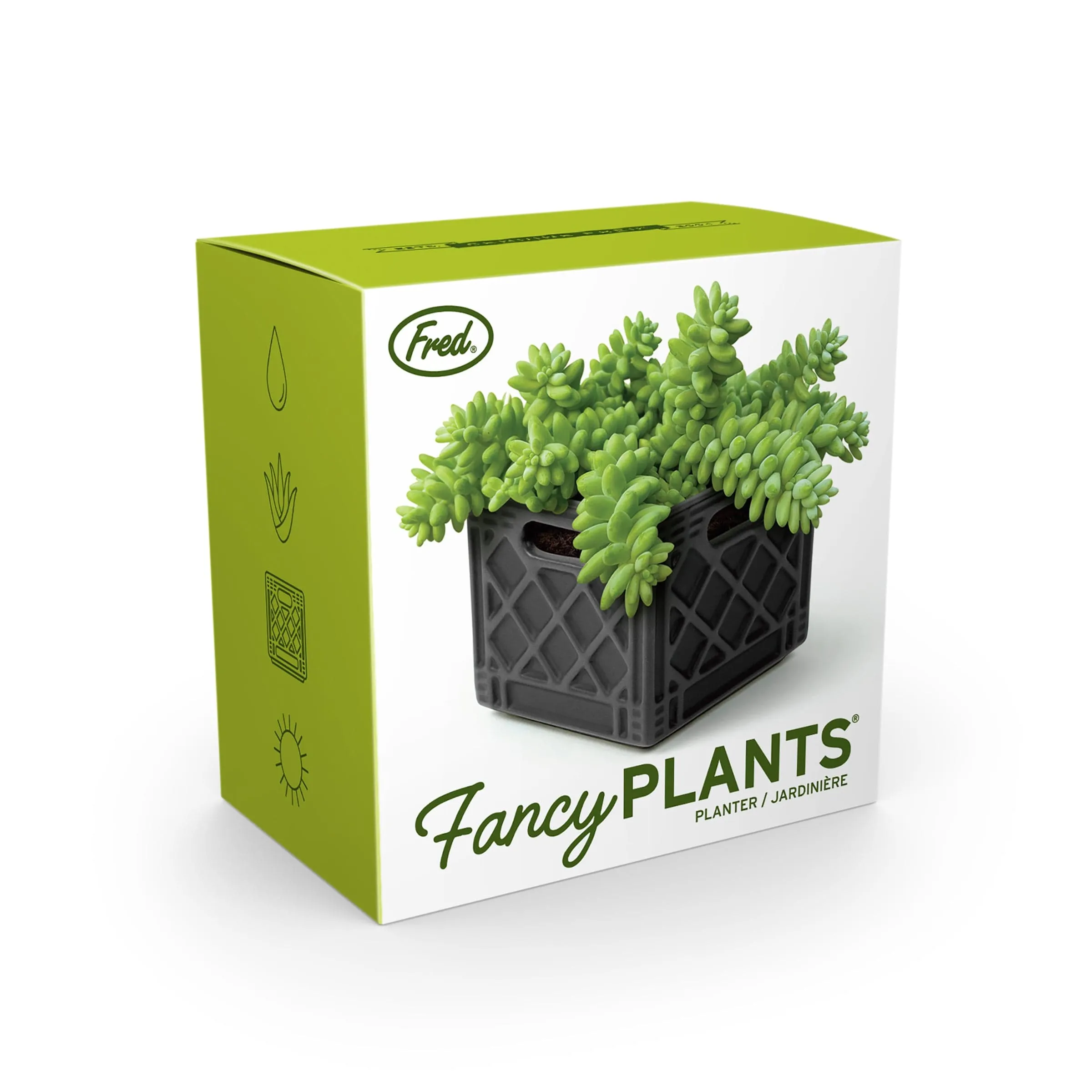 FANCY PLANTS - Milk Crate