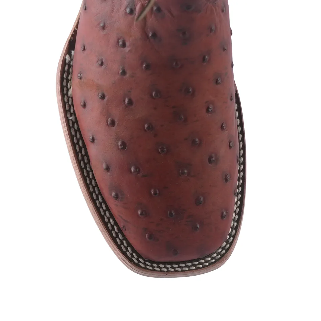 Texas Country Western Boot Ostrich CC Cognac E593