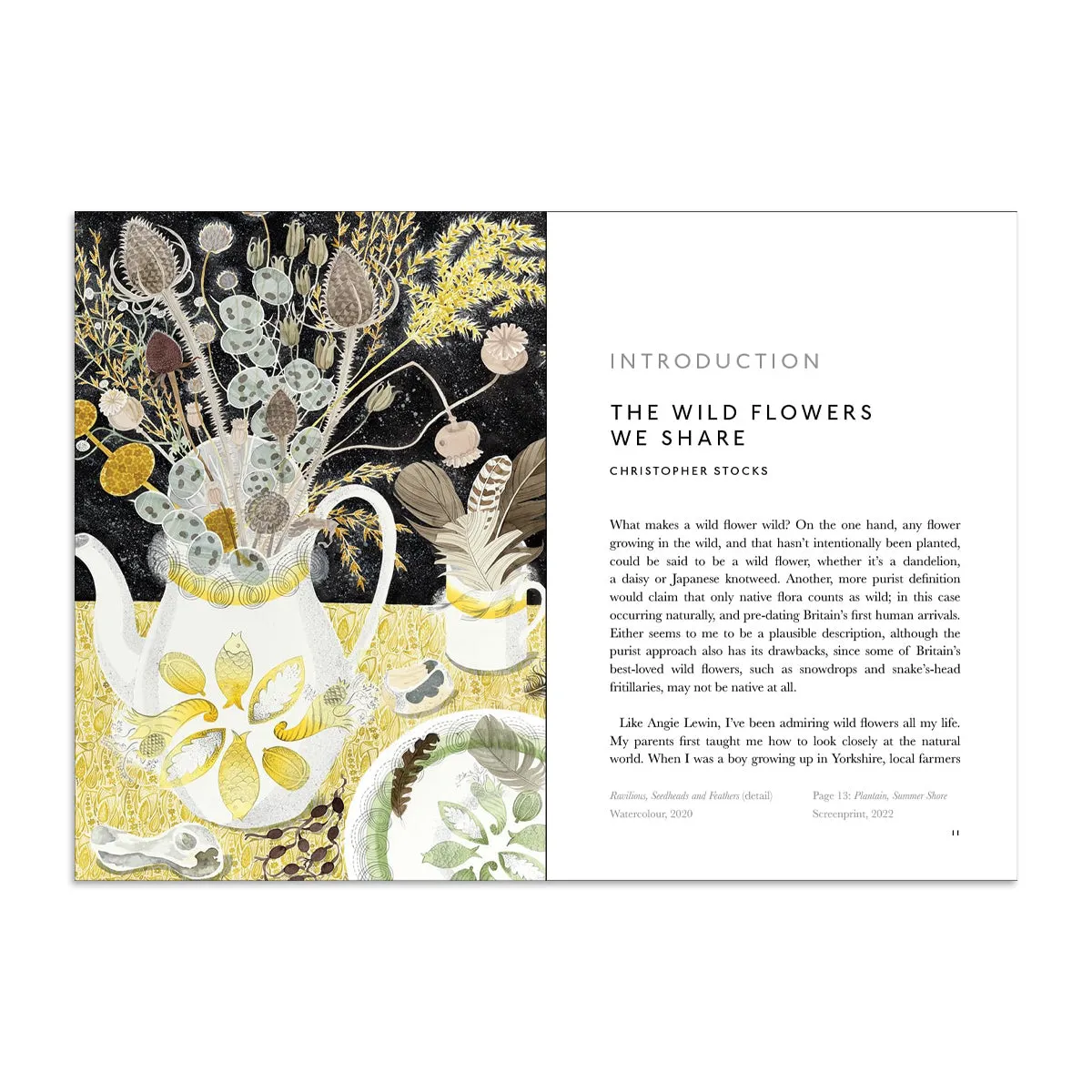 The Book of Wild Flowers