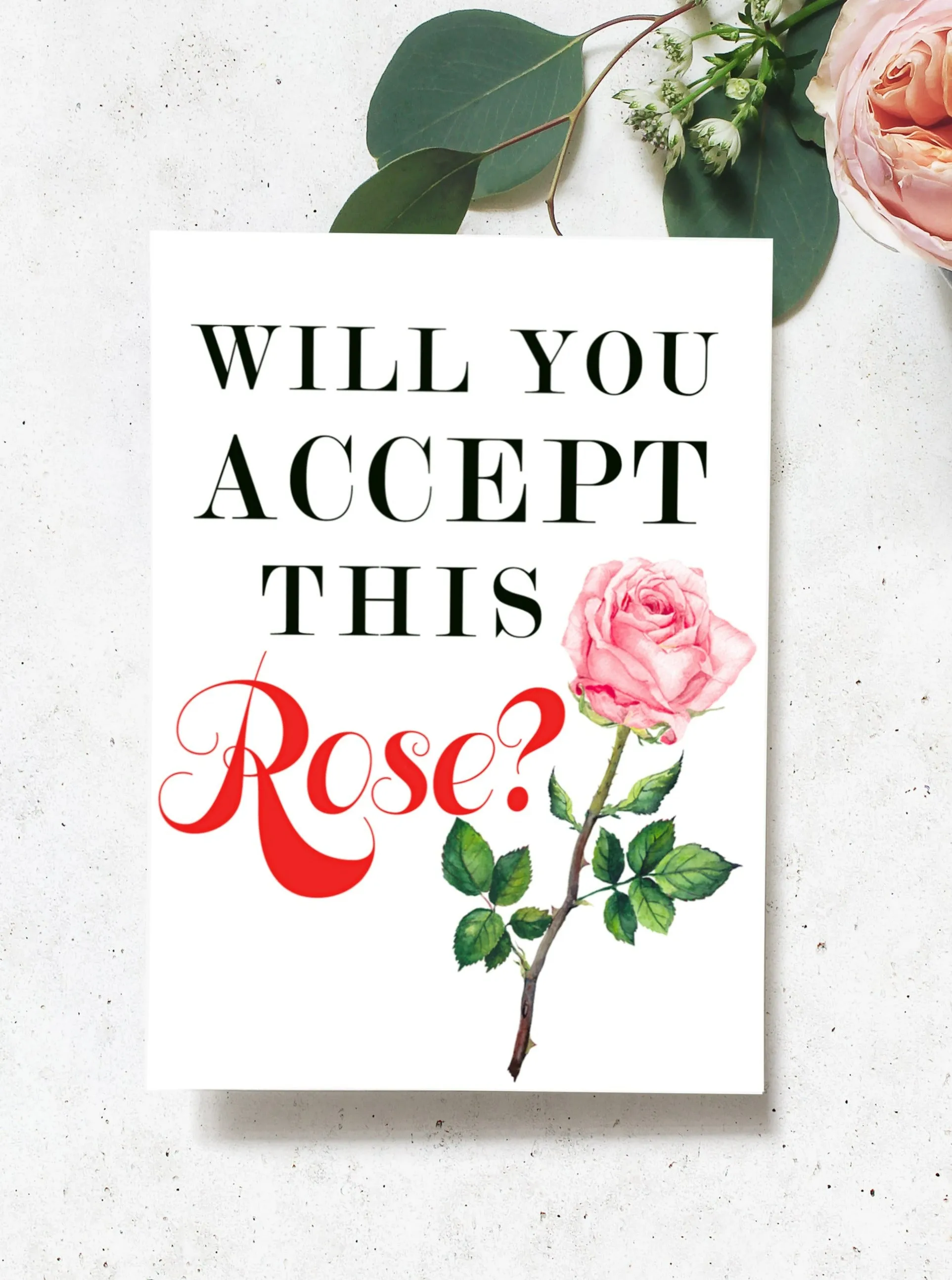 Will You Accept This Rose? Greeting Card