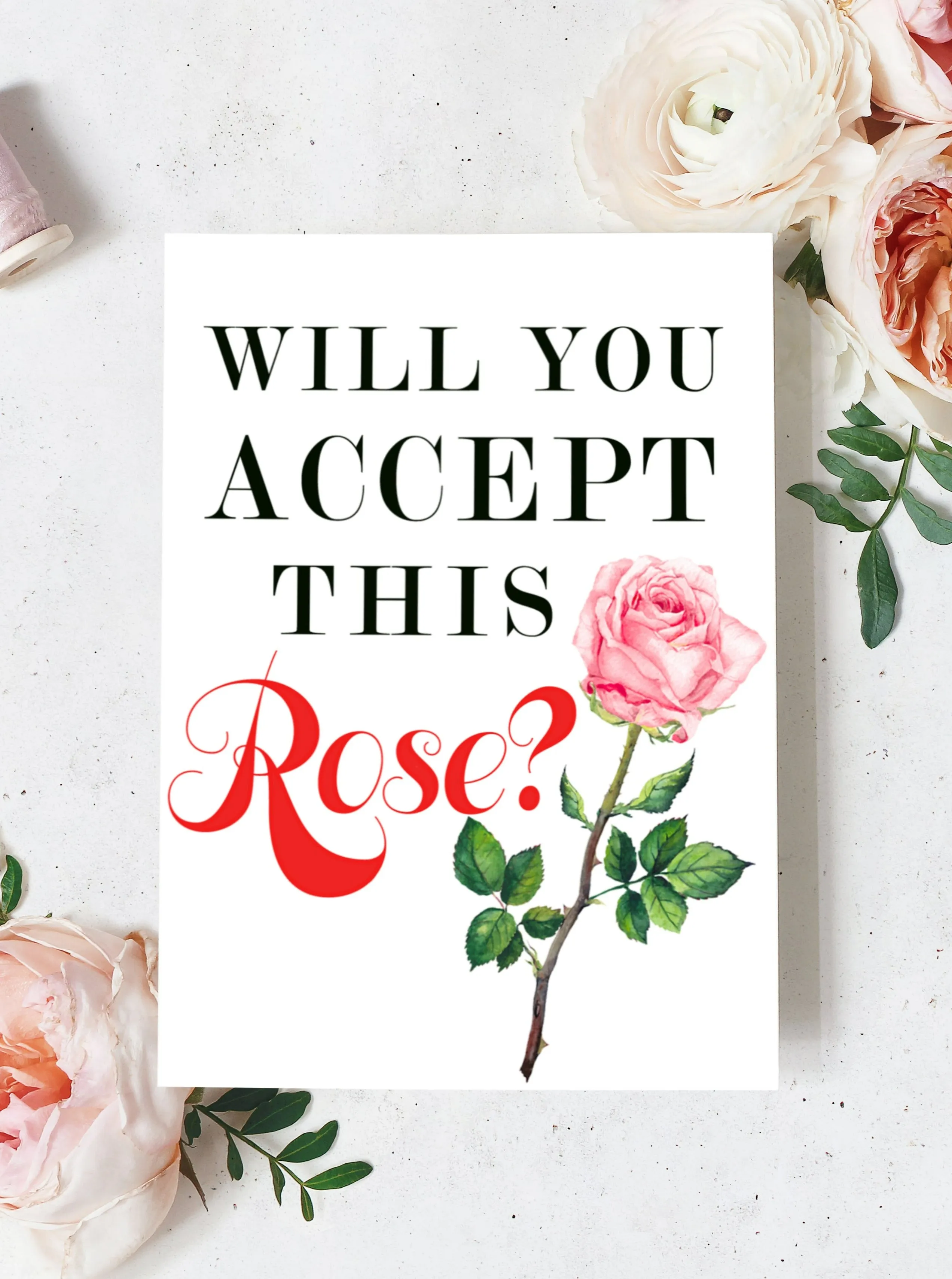 Will You Accept This Rose? Greeting Card